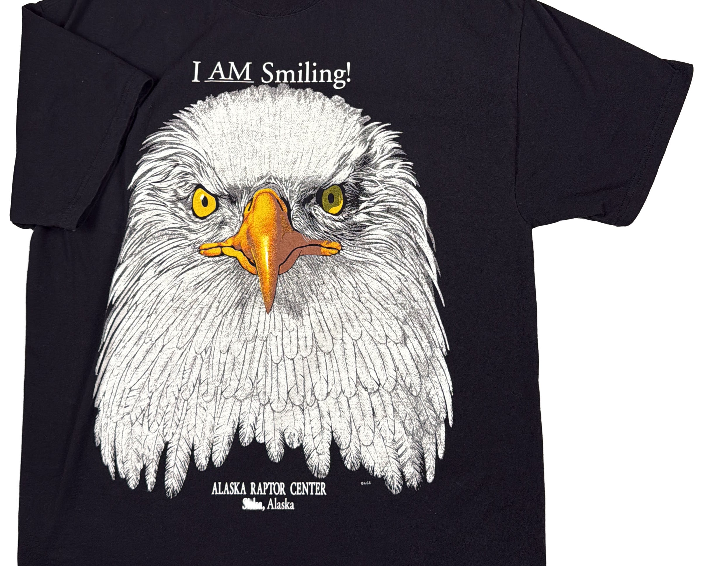 I AM SMILING Eagle T-Shirt Front