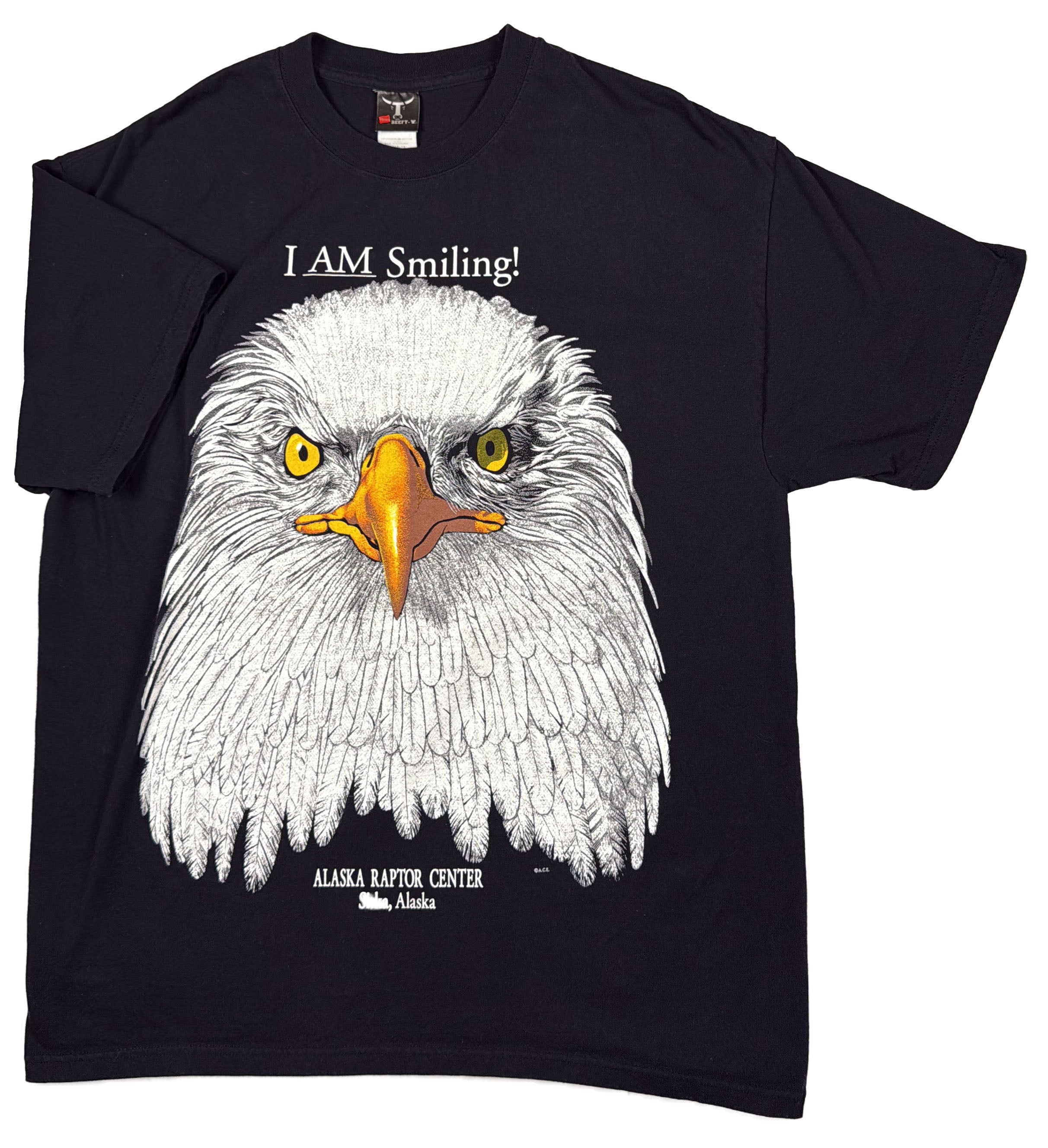 I AM SMILING Eagle T-Shirt Front